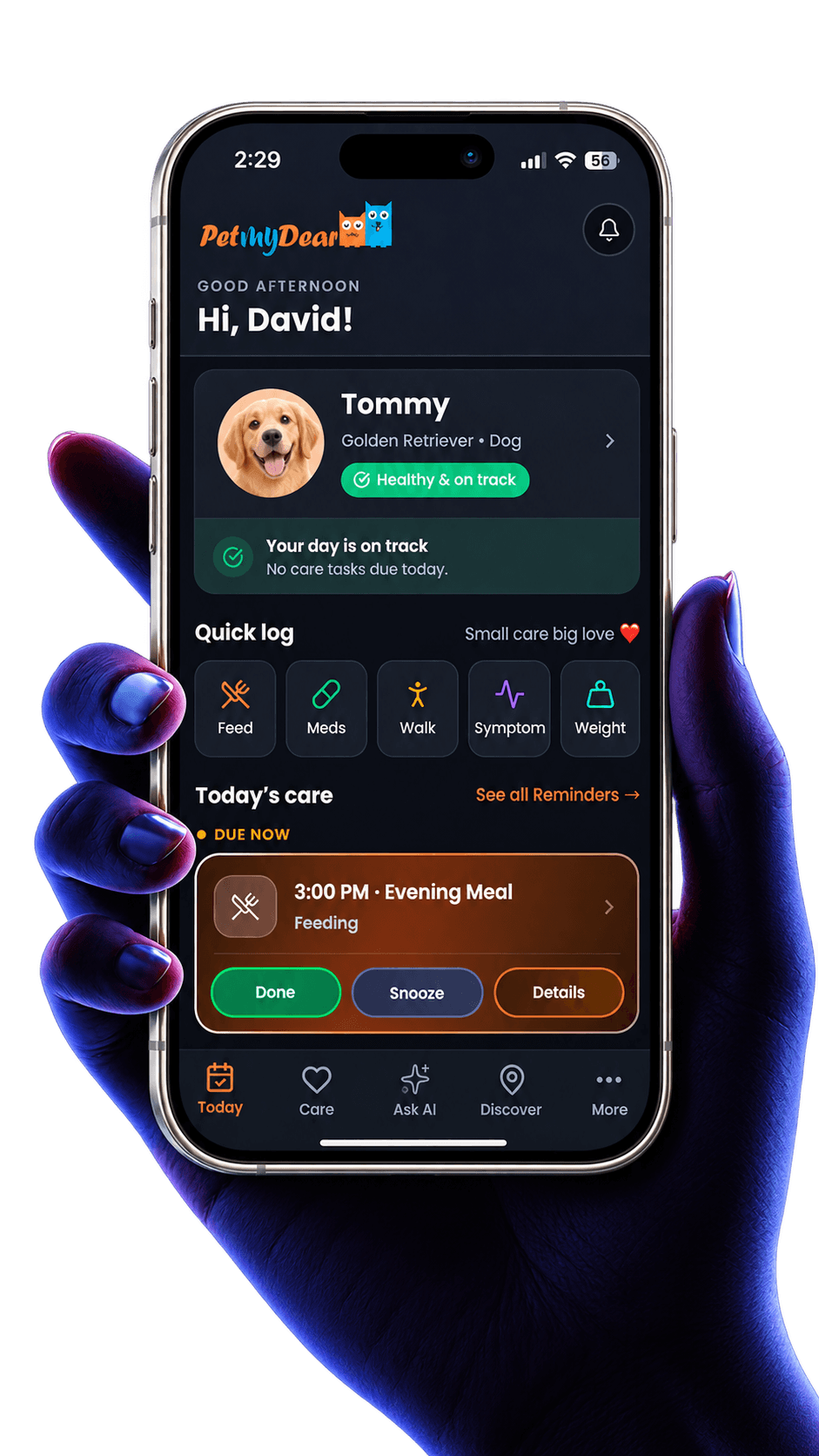 PetMyDear app preview with Tommy’s pet profile, care reminders, and daily activity tracking