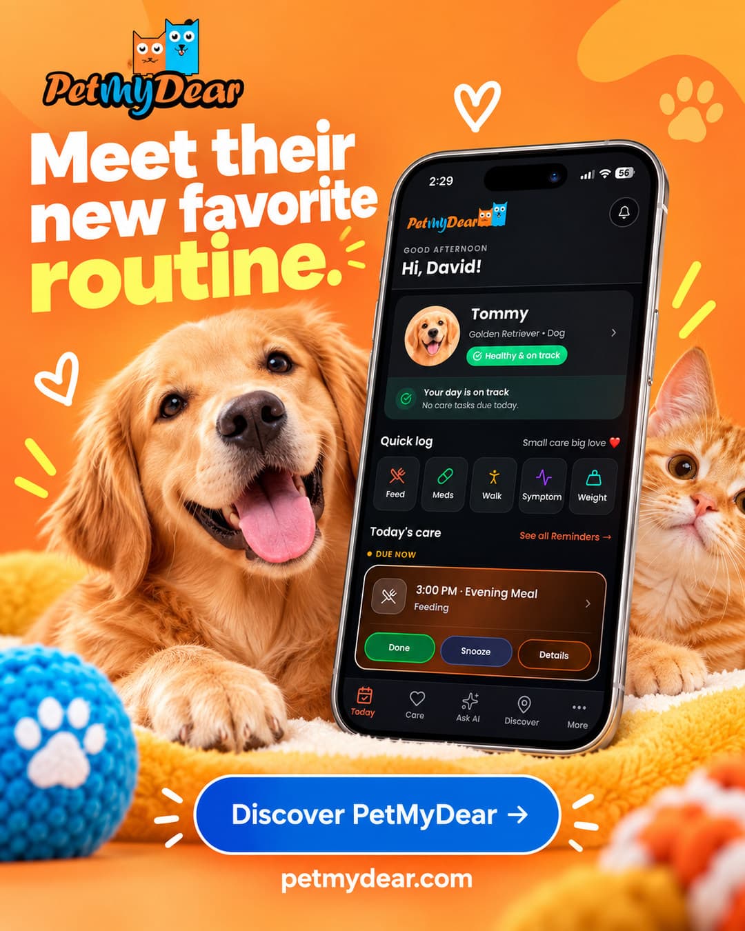PetMyDear app — daily routine for a Labrador Retriever